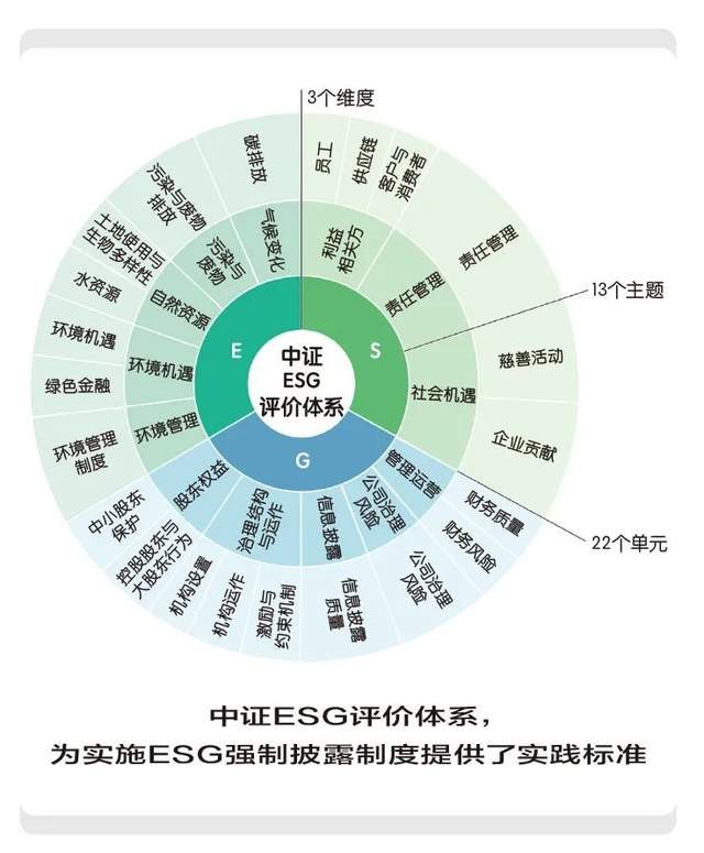 如何在网络信息教育中实施自我评估 如何在网络信息教育中实施自我评估