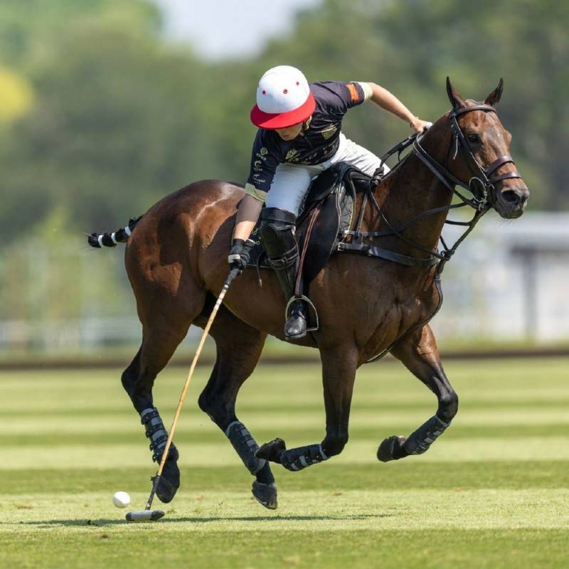 运动员实力突破，多项赛事获胜