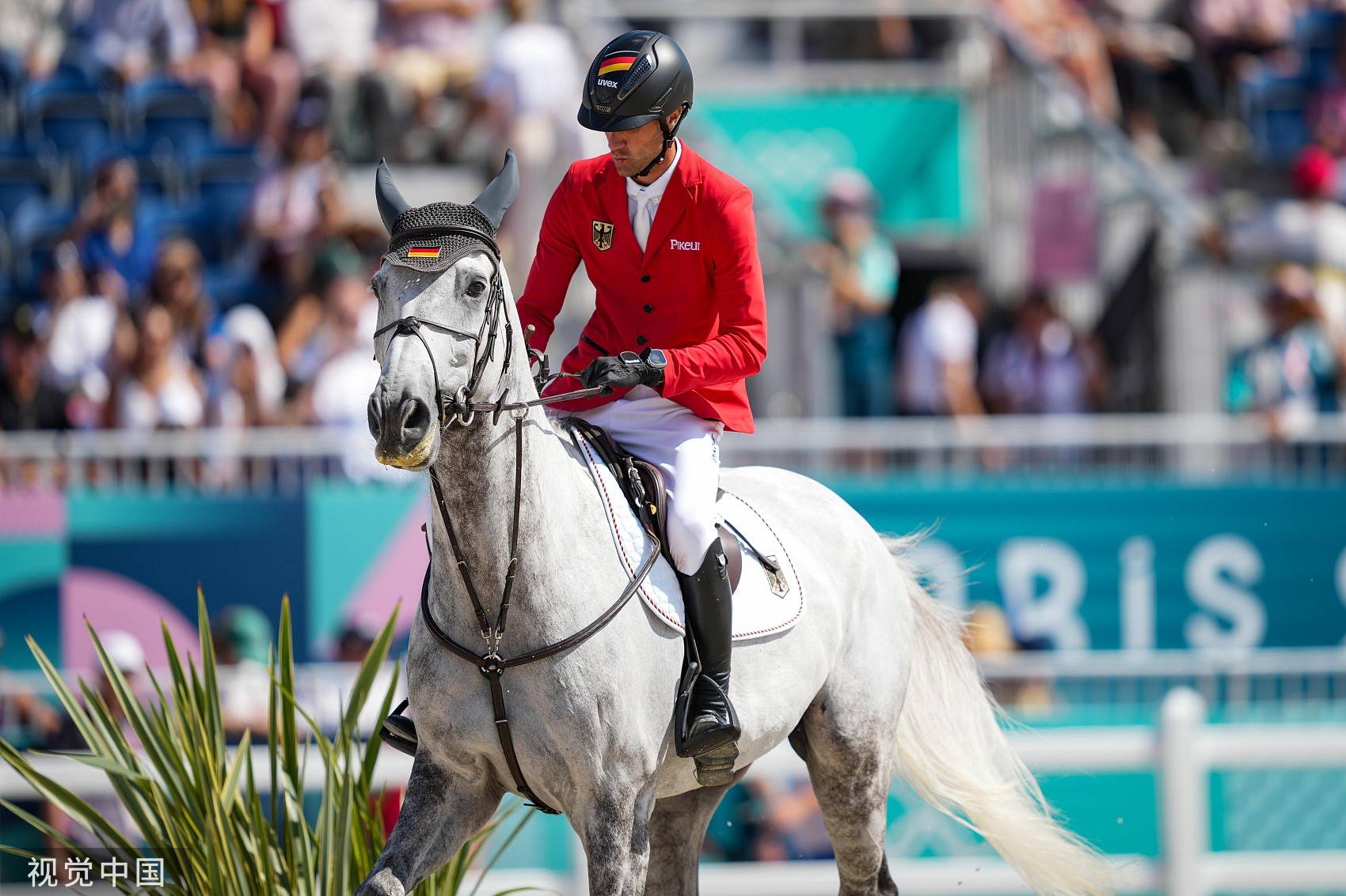 新西兰选手获得马术比赛金牌